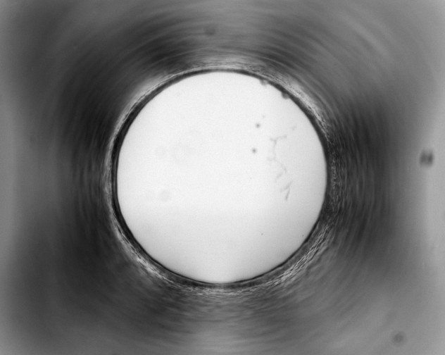 X0000103411088200810100951