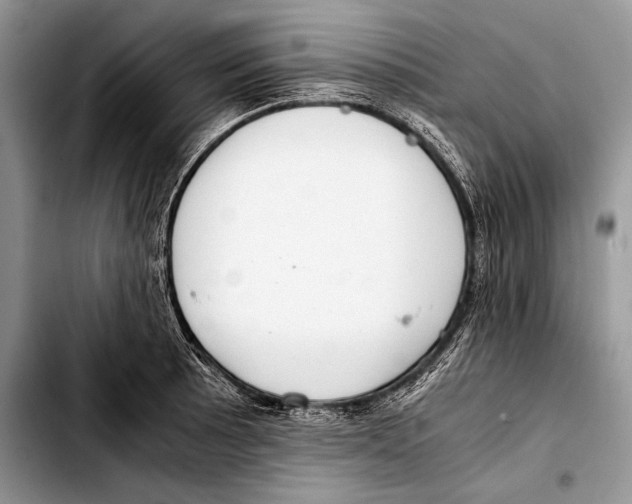 X0000103411089200810100951