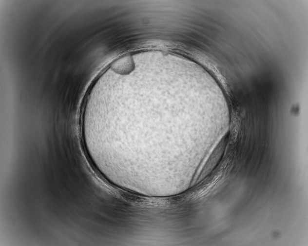 X0000103411090200810100951