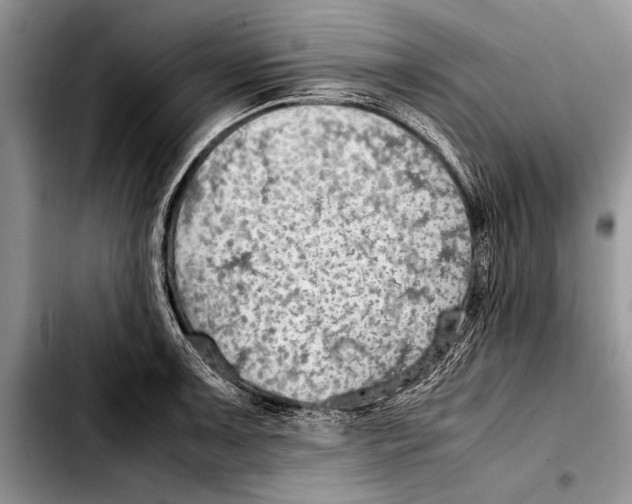 X0000103411091200810100951