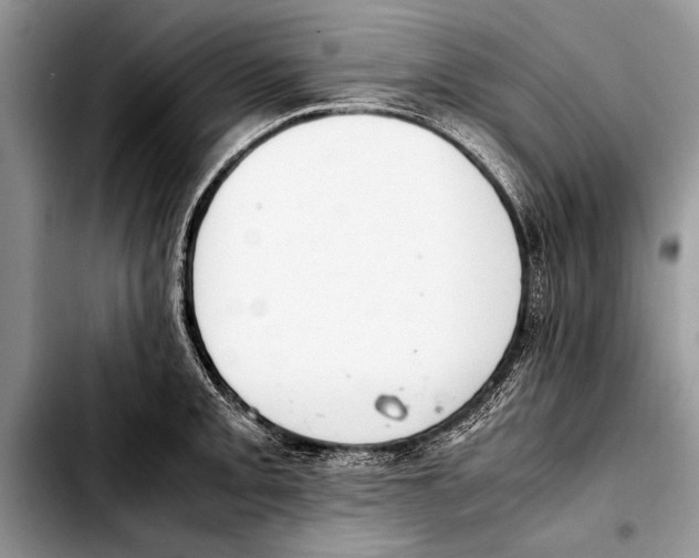 X0000103411093200810100951