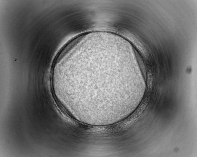 X0000103411094200810100951