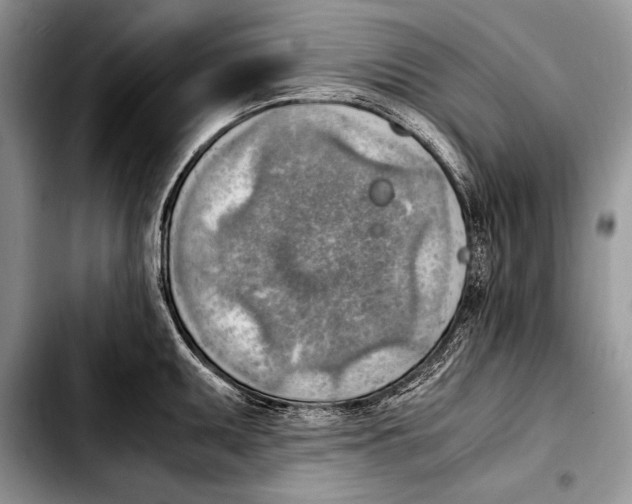 X0000103411095200810100951