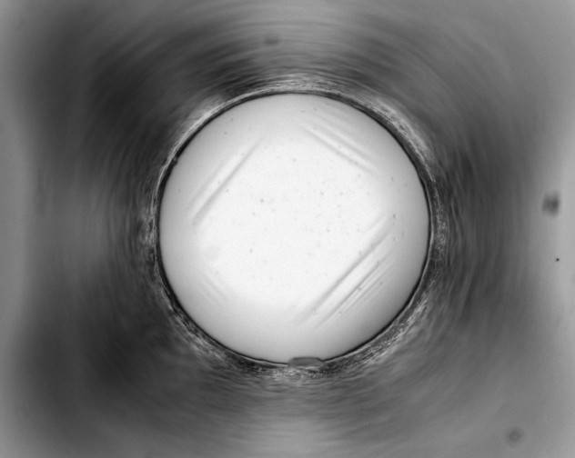 X0000103411097200810100951