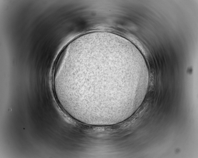 X0000103411098200810100951