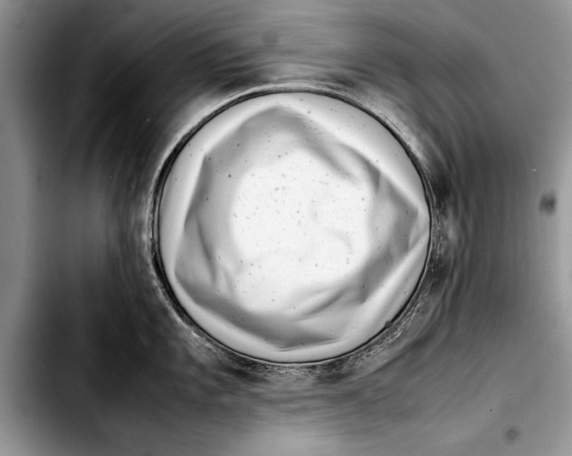 X0000103411101200810100951