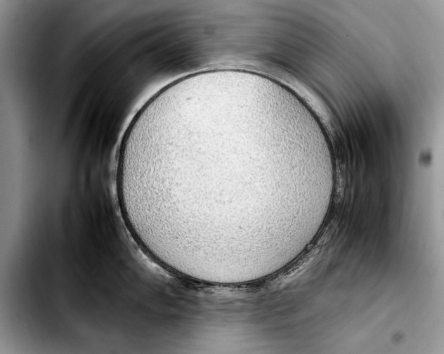 X0000103411102200810100950