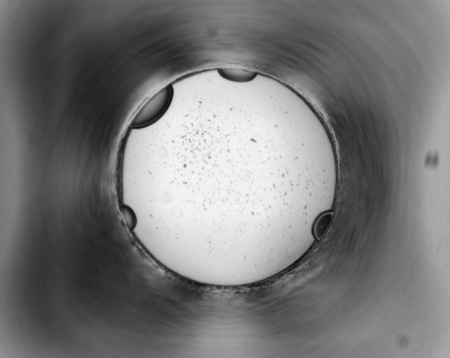 X0000103411104200810100950