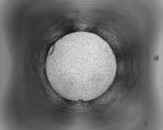 X0000103411105200810100950