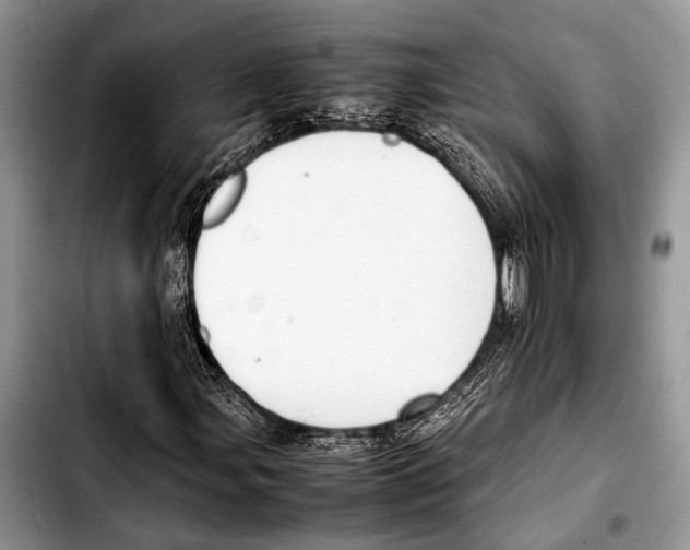 X0000103411107200810100950