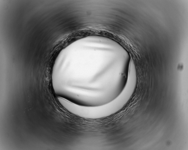 X0000103411110200810100950