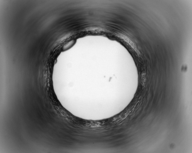 X0000103411111200810100950