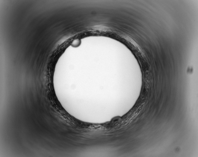 X0000103411112200810100950