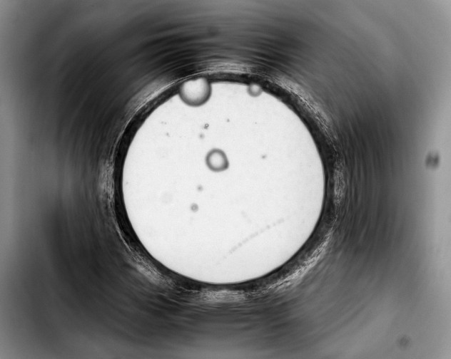 X0000103411113200810100950