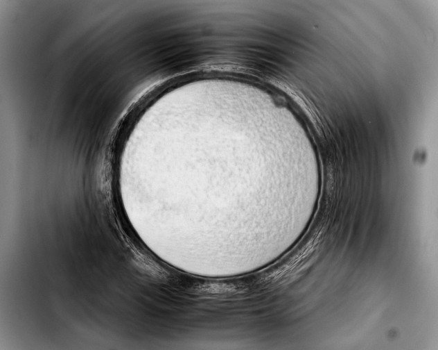 X0000103411115200810100950