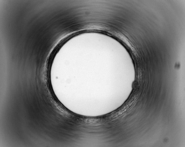 X0000103411116200810100950