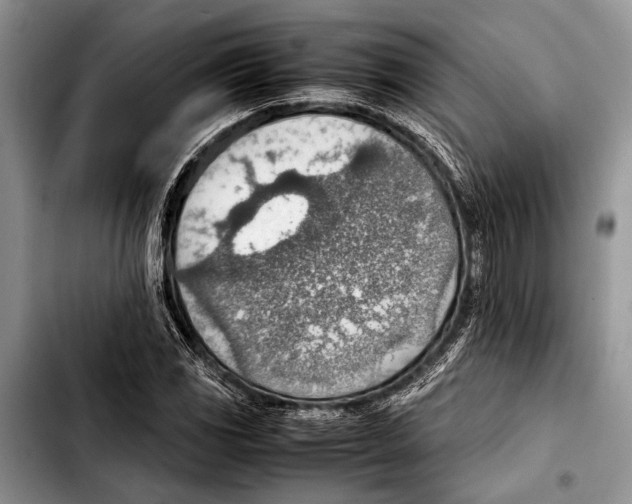 X0000103411117200810100950