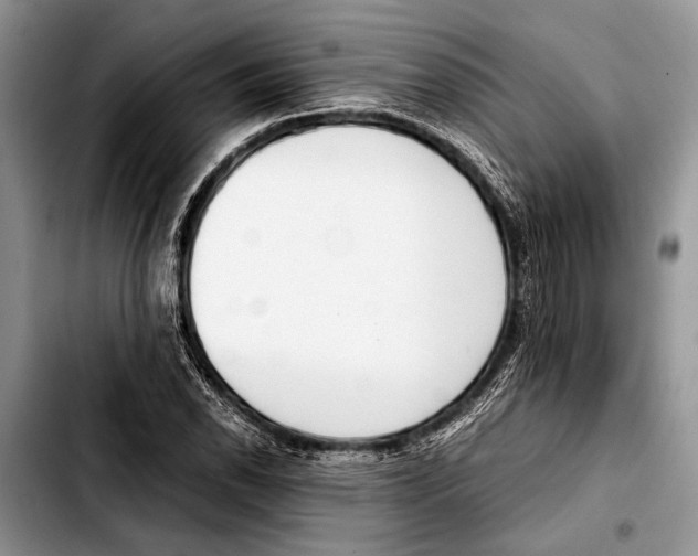 X0000103411118200810100950