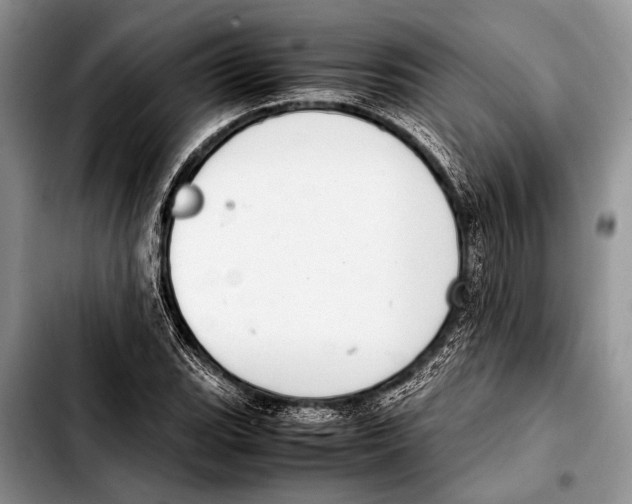 X0000103411119200810100950