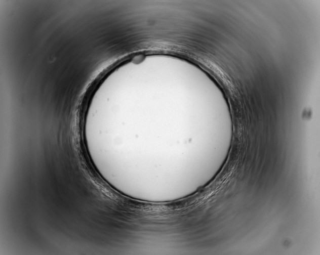 X0000103411120200810100950