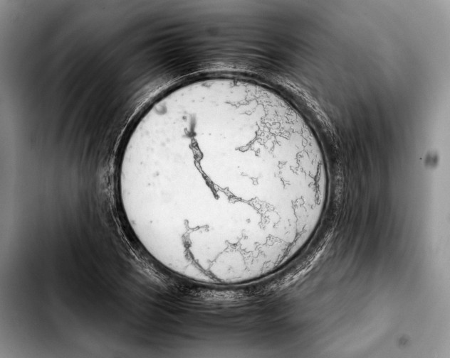 X0000103411121200810100950