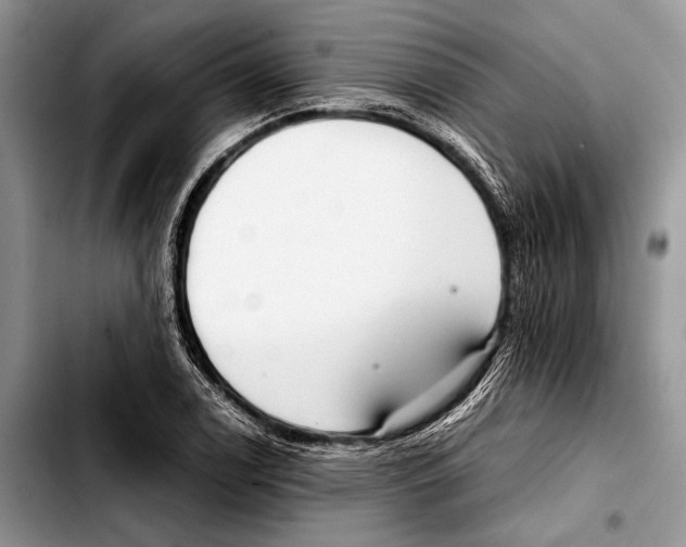 X0000103411122200810100950