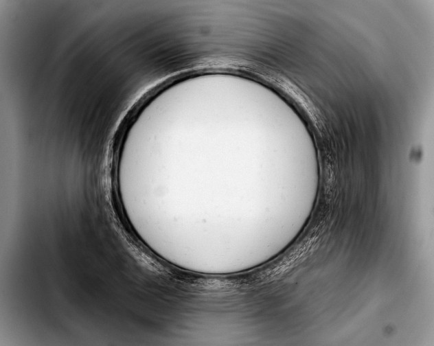 X0000103411124200810100950