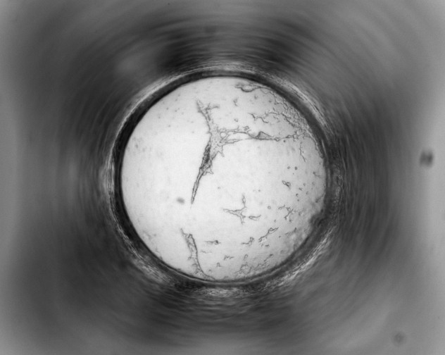 X0000103411125200810100950