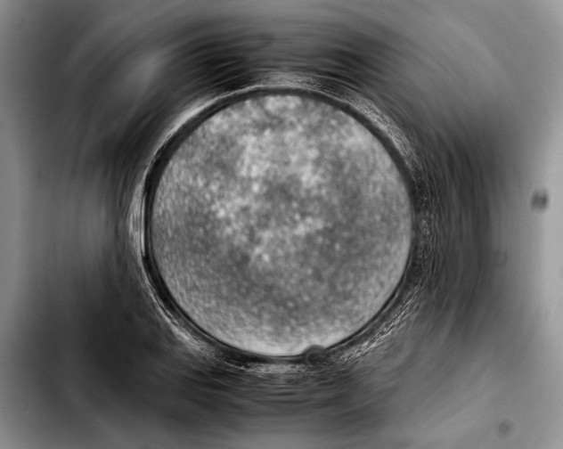 X0000103411127200810100950