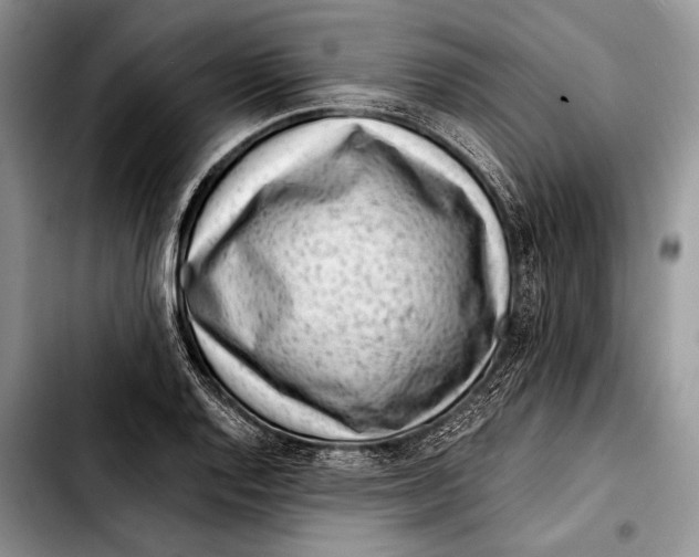 X0000103411128200810100950