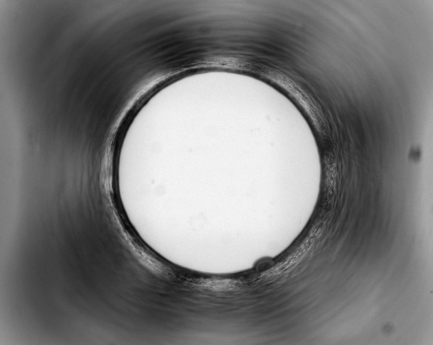 X0000103411131200810100950