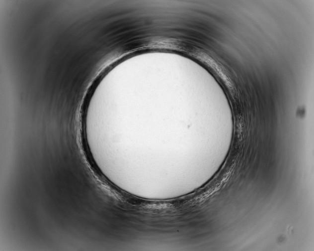 X0000103411133200810100950