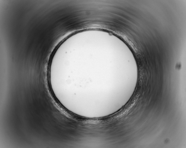 X0000103411134200810100950