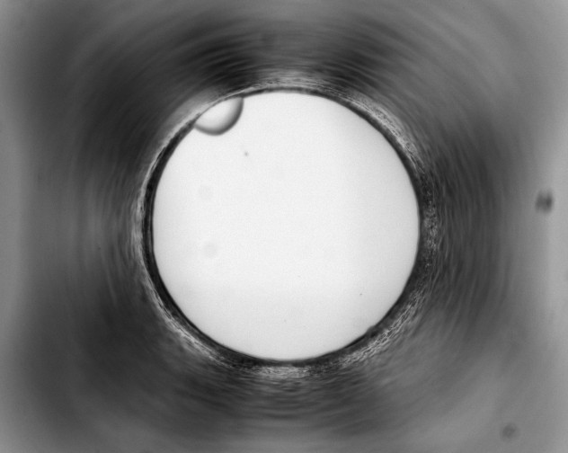 X0000103411135200810100950