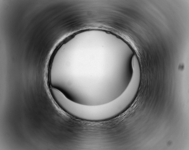 X0000103411136200810100950