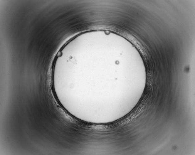 X0000103411140200810100950