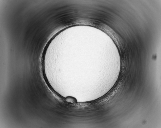 X0000103411141200810100950