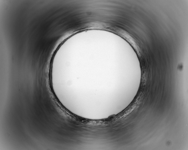 X0000103411146200810100950