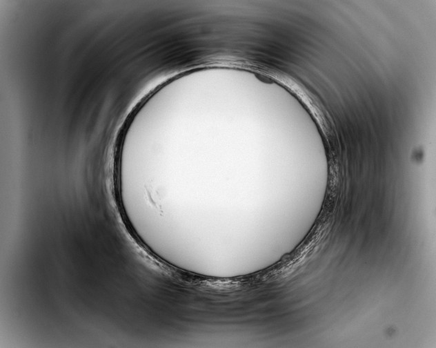 X0000103411147200810100950