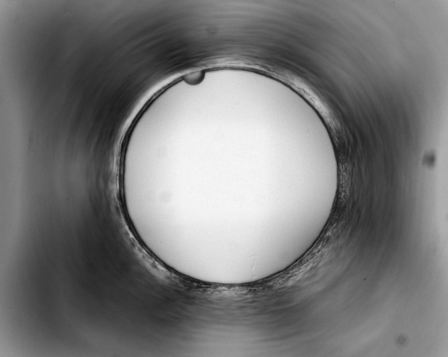 X0000103411148200810100950