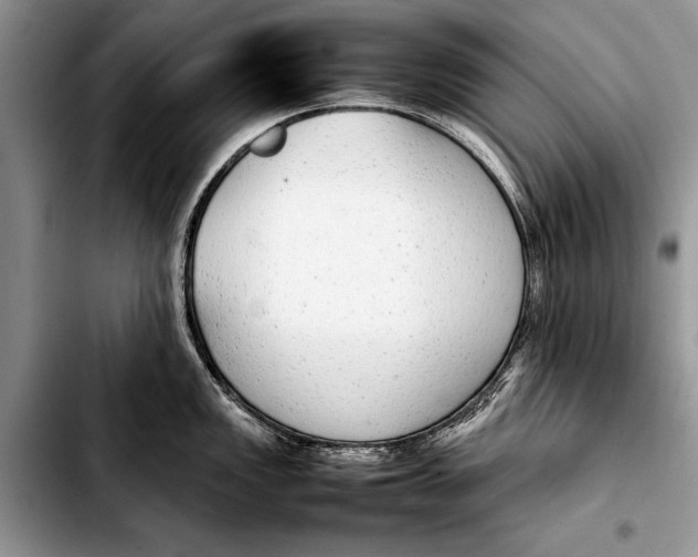 X0000103411149200810100950