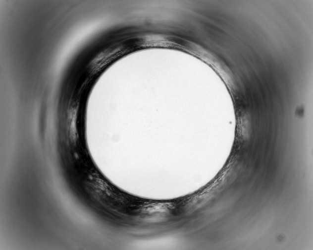 X0000103411150200810100950