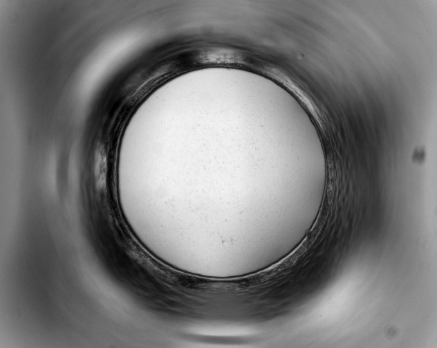 X0000103411151200810100950