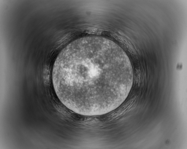 X0000103411154200810100950