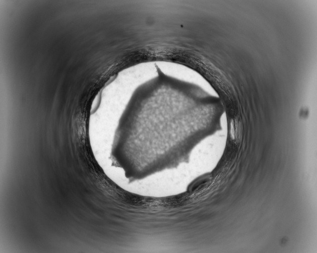 X0000103411155200810100950