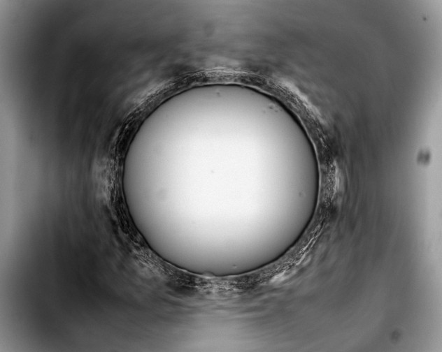 X0000103411157200810100950