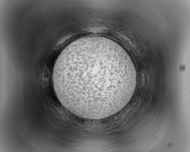 X0000103411158200810100950