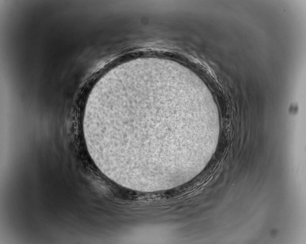 X0000103411159200810100950