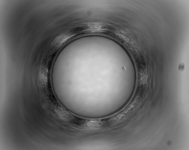 X0000103411161200810100950