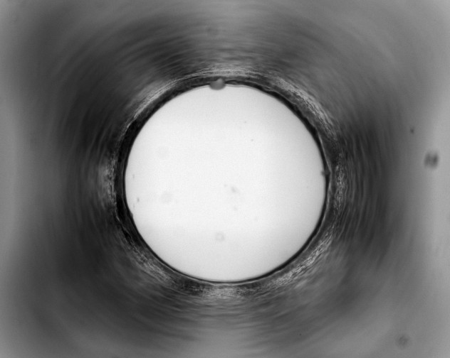 X0000103411162200810100950